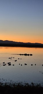 20240216_063209_copy_1200x2570.jpg 20240216_063209_copy_1200x2570.jpg