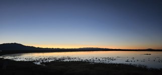 20240216_063047_copy_1200x560.jpg 20240216_063047_copy_1200x560.jpg