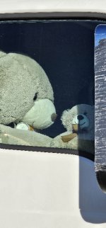 20240218_170314_copy_349x747.jpg 20240218_170314_copy_349x747.jpg