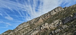 20240219_150939_copy_1600x747.jpg 20240219_150939_copy_1600x747.jpg