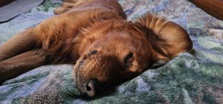 20240219_065745_copy_1600x747.jpg 20240219_065745_copy_1600x747.jpg