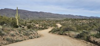 20240219_161115_copy_1600x747.jpg 20240219_161115_copy_1600x747.jpg