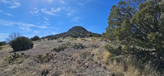 20240220_131937_copy_1600x747.jpg 20240220_131937_copy_1600x747.jpg