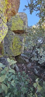 20240220_133717_copy_349x747.jpg 20240220_133717_copy_349x747.jpg