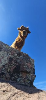 20240220_134142_copy_349x747.jpg 20240220_134142_copy_349x747.jpg