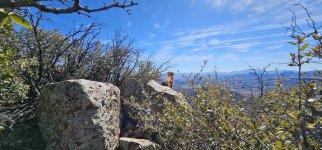 20240220_134833_copy_1600x747.jpg 20240220_134833_copy_1600x747.jpg