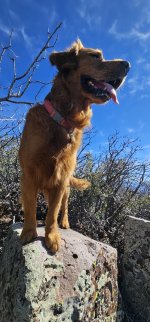 20240220_134935_copy_349x747.jpg 20240220_134935_copy_349x747.jpg