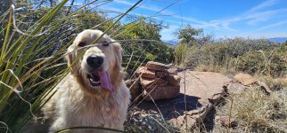 20240220_135138_copy_1600x747.jpg 20240220_135138_copy_1600x747.jpg