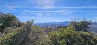 20240220_135211_copy_1600x747.jpg 20240220_135211_copy_1600x747.jpg