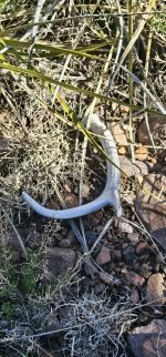 20240220_142003_copy_349x747.jpg 20240220_142003_copy_349x747.jpg