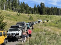 IMG_2029.jpeg IMG_2029.jpeg