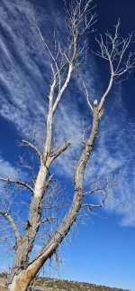 20240221_151436_copy_1200x2570.jpg 20240221_151436_copy_1200x2570.jpg