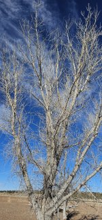 20240221_151356_copy_1200x2570.jpg 20240221_151356_copy_1200x2570.jpg