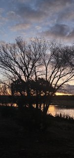 20240222_063045_copy_349x747.jpg 20240222_063045_copy_349x747.jpg