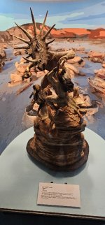 20240222_123550_copy_349x747.jpg 20240222_123550_copy_349x747.jpg