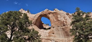 20240222_130935_copy_1600x747.jpg 20240222_130935_copy_1600x747.jpg