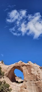 20240222_130940_copy_349x747.jpg 20240222_130940_copy_349x747.jpg