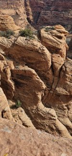 20240223_112213_copy_349x747.jpg 20240223_112213_copy_349x747.jpg