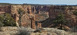 20240223_115751_copy_1600x747.jpg 20240223_115751_copy_1600x747.jpg