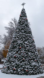 1711389381000.png 1711389381000.png