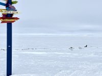 4F05AD6D-1C12-4354-92EE-1974949EE7CE.jpeg 4F05AD6D-1C12-4354-92EE-1974949EE7CE.jpeg