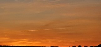 20240224_064915_copy_1600x747.jpg 20240224_064915_copy_1600x747.jpg