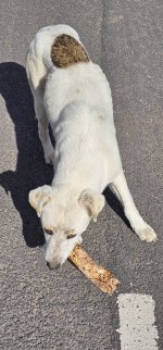 20240223_101217_copy_1200x2570.jpg 20240223_101217_copy_1200x2570.jpg