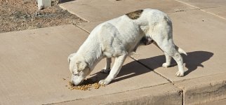 20240223_100954_copy_1200x560.jpg 20240223_100954_copy_1200x560.jpg