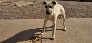 20240223_104041_copy_1200x560.jpg 20240223_104041_copy_1200x560.jpg