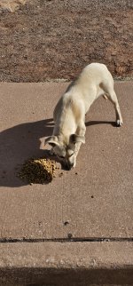 20240223_104031_copy_1200x2570.jpg 20240223_104031_copy_1200x2570.jpg