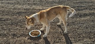 20240223_163908_copy_1200x560.jpg 20240223_163908_copy_1200x560.jpg