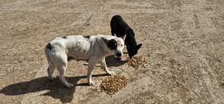 20240223_133817_copy_1200x560.jpg 20240223_133817_copy_1200x560.jpg