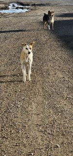 20240223_163916_copy_1200x2570.jpg 20240223_163916_copy_1200x2570.jpg