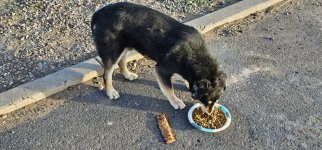 20240223_171946_copy_1200x560.jpg 20240223_171946_copy_1200x560.jpg