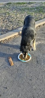 20240223_171956_copy_1200x2570.jpg 20240223_171956_copy_1200x2570.jpg