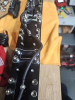 1000005958.jpg 1000005958.jpg