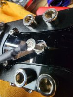 1000005953.jpg 1000005953.jpg