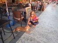 IMG_3566.jpeg IMG_3566.jpeg