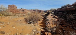 20240224_102759_copy_1200x560.jpg 20240224_102759_copy_1200x560.jpg