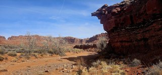 20240224_104227_copy_1200x560.jpg 20240224_104227_copy_1200x560.jpg