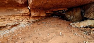 20240224_131938_copy_1200x560.jpg 20240224_131938_copy_1200x560.jpg