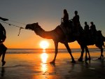 (broome) sunset camel ride (15).jpg (broome) sunset camel ride (15).jpg