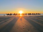 (broome) sunset camel ride (19).jpg (broome) sunset camel ride (19).jpg