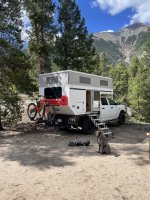 Up w steps & dog.jpeg