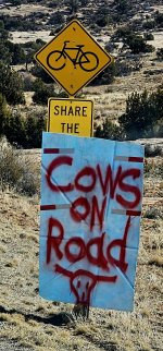 20240228_101735_copy_1200x2570.jpg 20240228_101735_copy_1200x2570.jpg