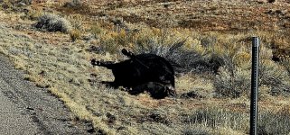 20240228_101036_copy_1200x560.jpg 20240228_101036_copy_1200x560.jpg