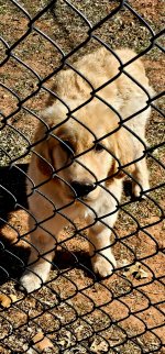 Screenshot_20240403_080909_Gallery_copy_1200x2573.jpg Screenshot_20240403_080909_Gallery_copy_1200x2573.jpg