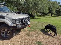 IMG_20230612_164428801_HDR - Copy.jpg