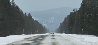 Screenshot_20240407_081811_Gallery_copy_1600x746.jpg Screenshot_20240407_081811_Gallery_copy_1600x746.jpg