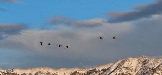 Screenshot_20240407_082207_Gallery_copy_1600x746.jpg Screenshot_20240407_082207_Gallery_copy_1600x746.jpg